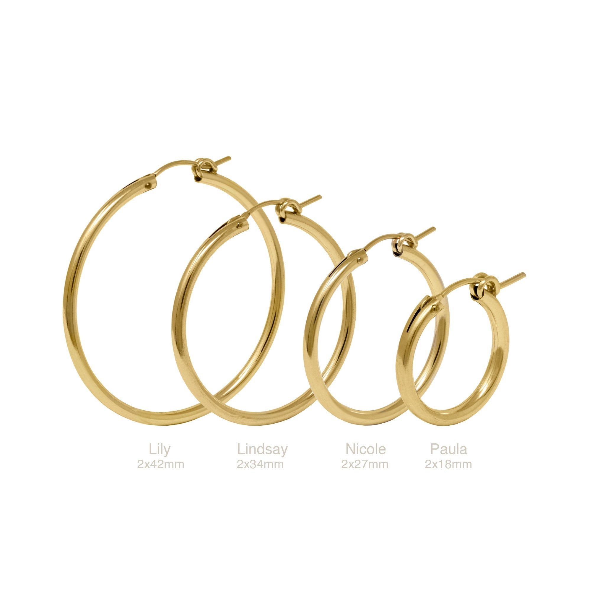 Nicole earrings
